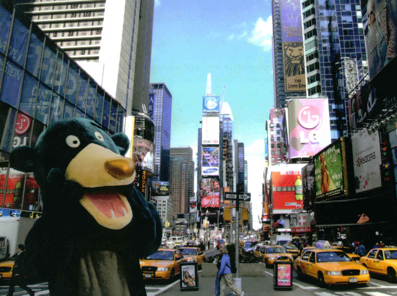 bernard in new york